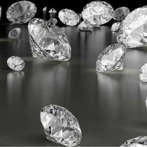 Meet your Posher, Tamila